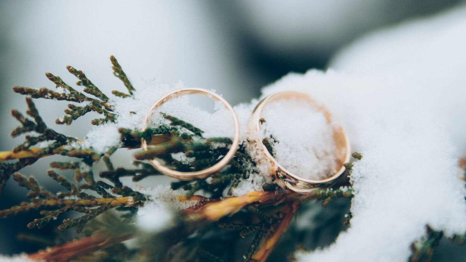 two gold wedding rings on a snow covered tree stem